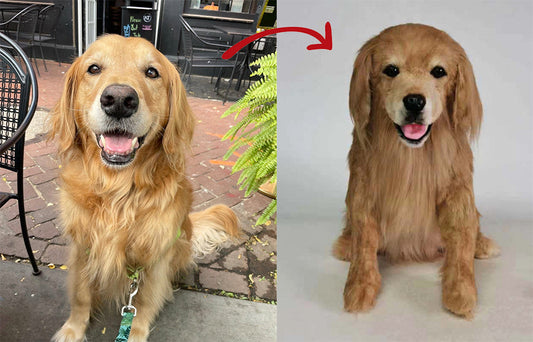 stuffed animals that look like your pet