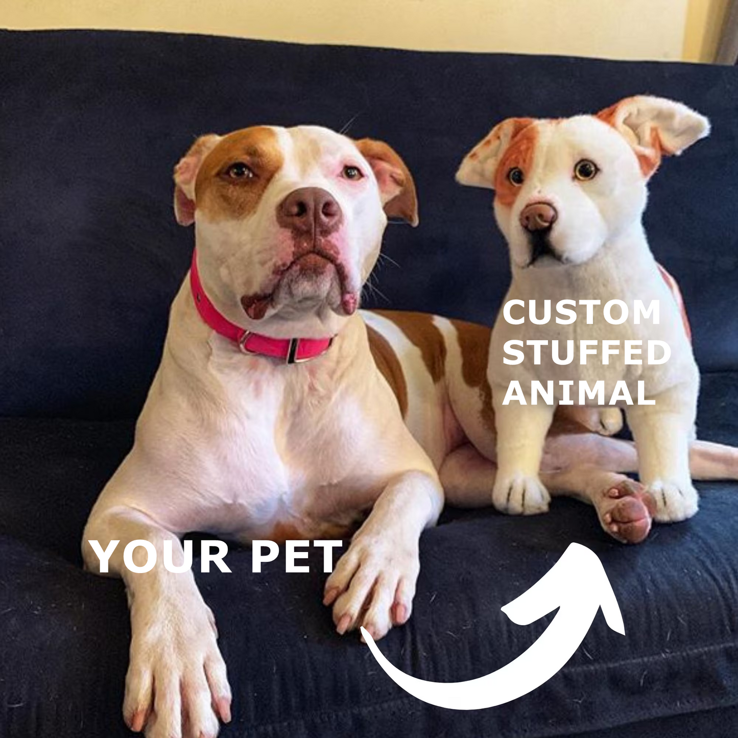 personalized stuffed animals