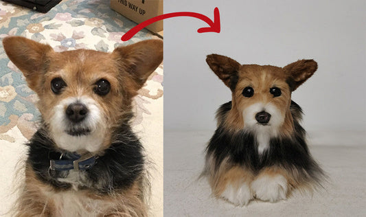 Creating Lasting Memories with Custom Stuffed Animals of Your Pet