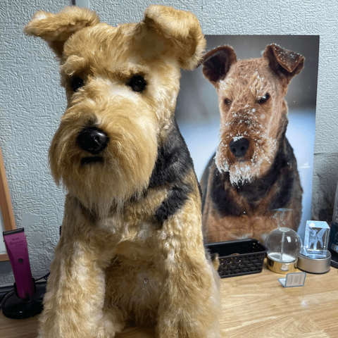 custom stuffed animals of your pet
